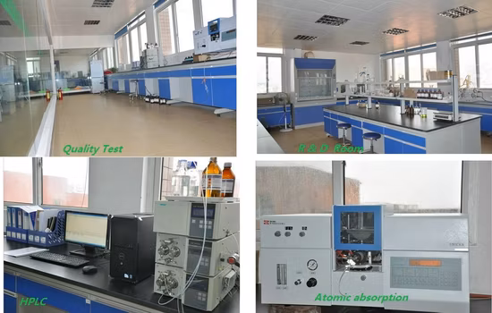 E. K Herb ISO Halal Kosher Certified Natural Antioxidants Carnosic Acid 5%~95% Fat Soluble CAS 3650-09-7 Rosmarinic Acid, Ursolic Acid Powder Rosemary Extract