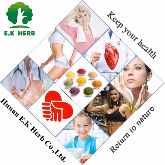 Supply Chinese Natural Herb Extract Tongkat Ali Extract 100: 1