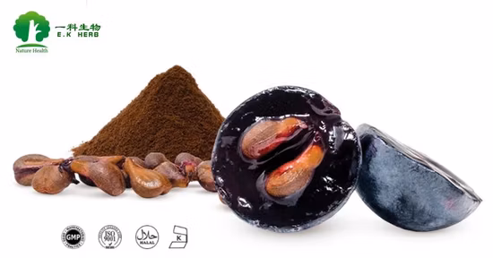 Natural Grape Seed Extract in Herb Extract