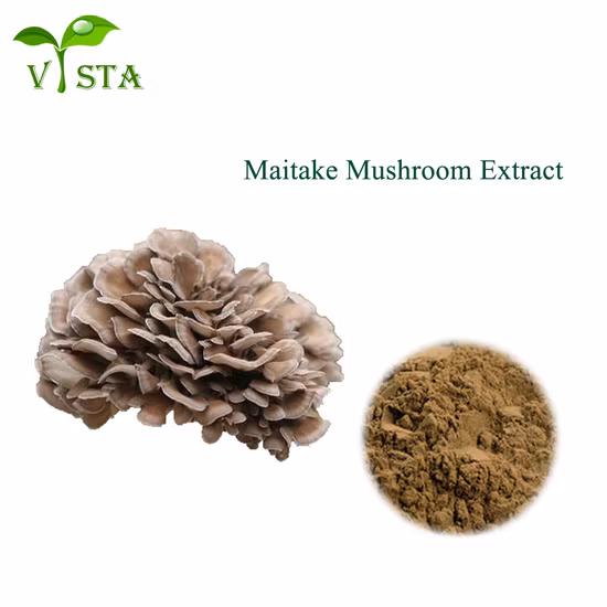 Natural Plant Extract Organic Mushroom Extract Extract for Boosting Immune System Herb Herbal Mushroom Extract